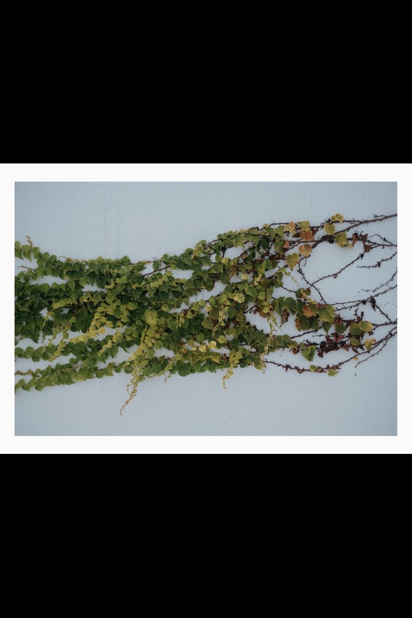 天川星夏 12本写真合集 1ff04373b3aa187 39