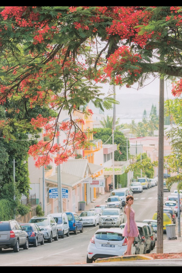 乃木坂46 秋元真夏 3本写真合集 5b25423cab0435f 115