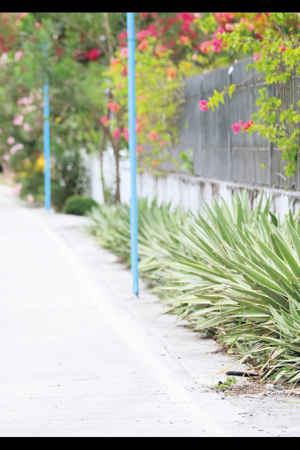 天羽希純 写真合集 5e0d8c302c2666a