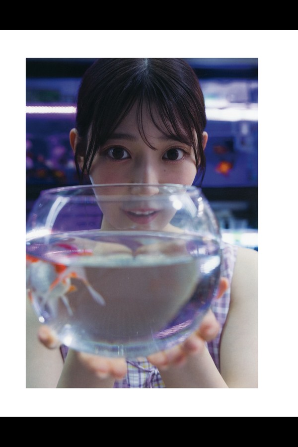 乃木坂46 14本写真合集 6339e4b00fb1c46 2