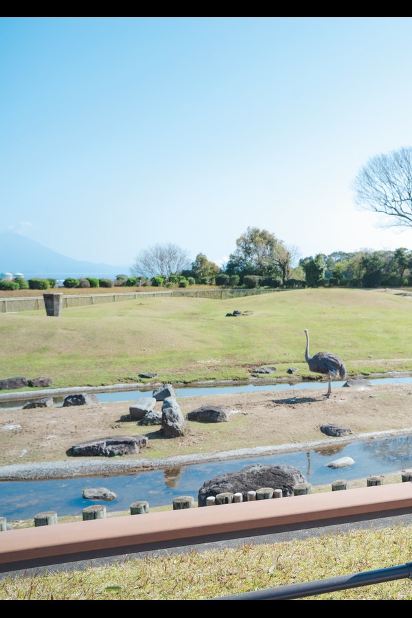 蛭田愛梨 11本写真合集 86b05a78ac80f9f 20