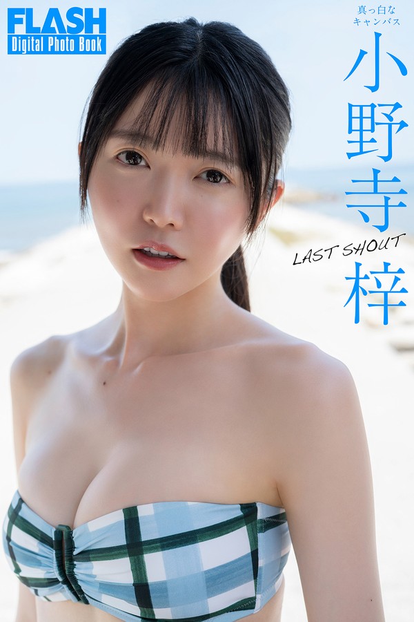 小野寺梓 9本写真合集 8a294cd1f927c64