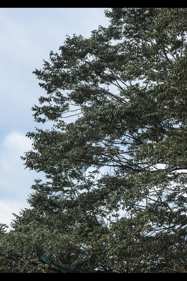 天川星夏 12本写真合集 8acd05053c837c6 180