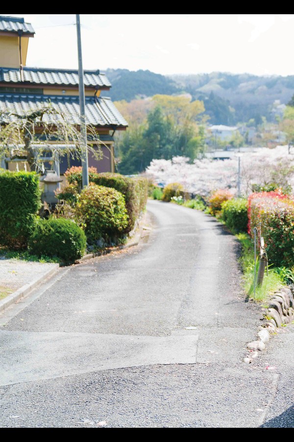 松本日向 10本写真合集 8acd05053c837c6 61