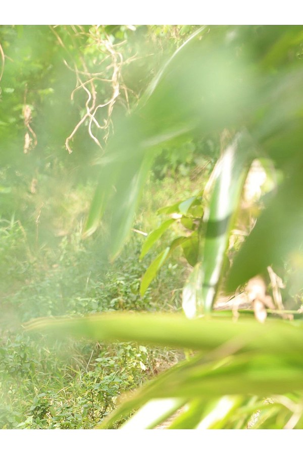 飯野雅デジタル 写真集「icon」 8acd05053c837c6 79