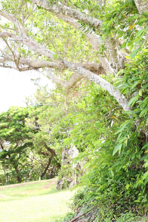 飯野雅デジタル 写真集「icon」 e836acc61d9d916 79