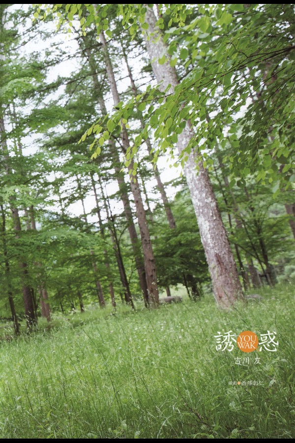 Kikkawa Yu - Yuuwaku preview001 02 14