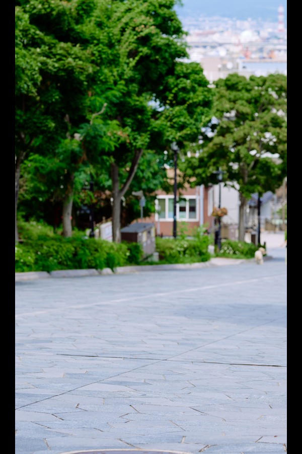 溝端葵 4本写真合集 8569665d4ac210e