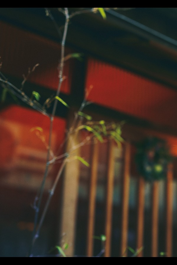 芳根京子 写真集 『 京 』 8acd05053c837c6 70