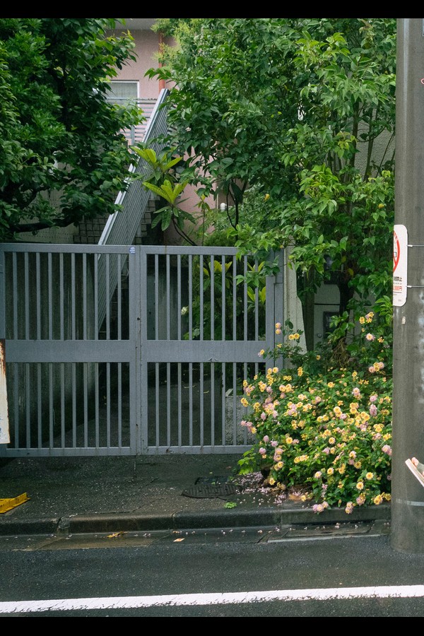 青山なぎさ 3本写真合集 preview002 04 3