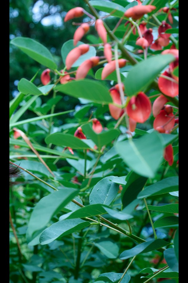 【デジタル限定】紗綾写真集「ずっと、もっと、きっと」 (週プレ PHOTO BOOK) preview001 04 113