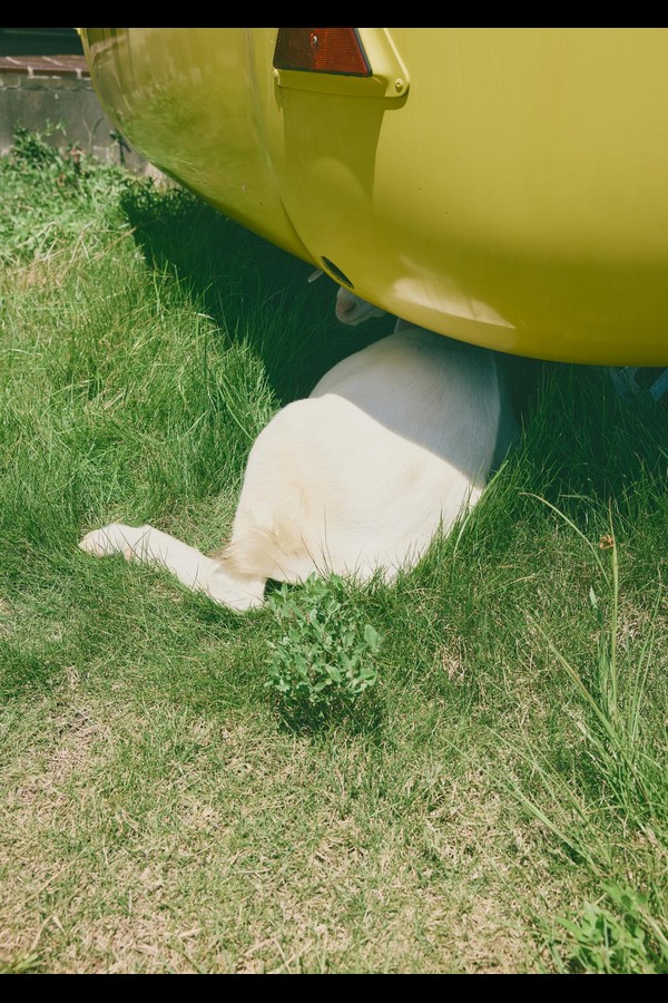 えっちゃん水着LOOKBOOK4th写真集 えっちゃん写真集第4弾 えっちゃんねる悦子写真集 preview001 04 126